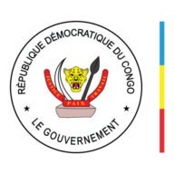DRC Flag